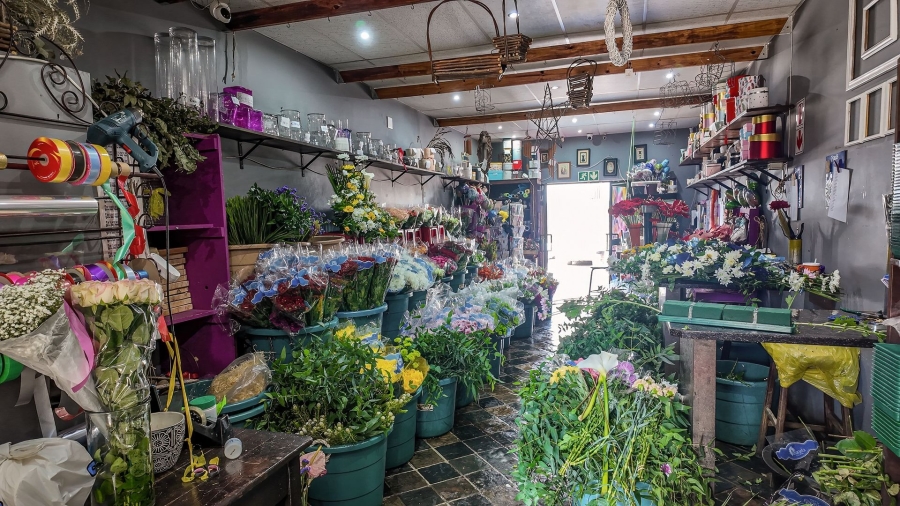 Commercial Property for Sale in Bodorp North West